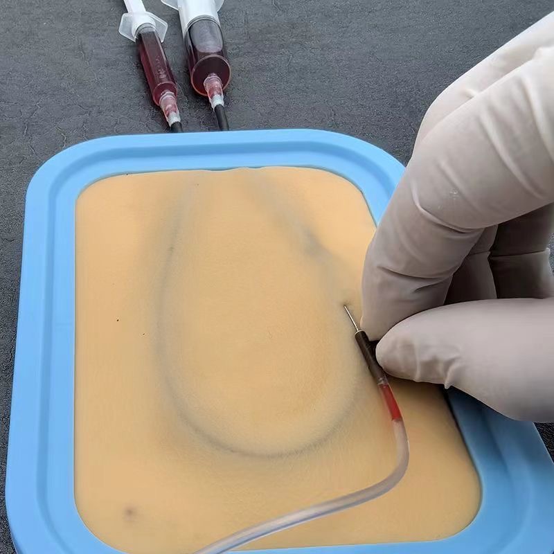 Venipuncture Training Kit Sili - Model Kit Simulator 评论和价格