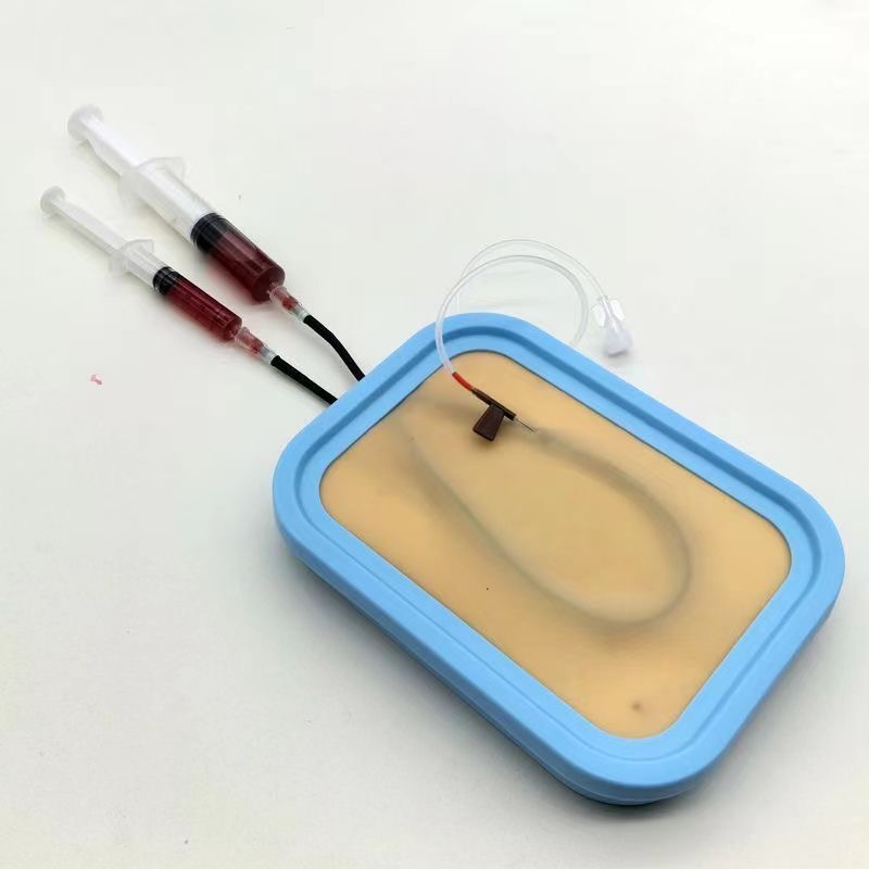 Venipuncture Training Kit Sili - Model Kit Simulator 评论和价格