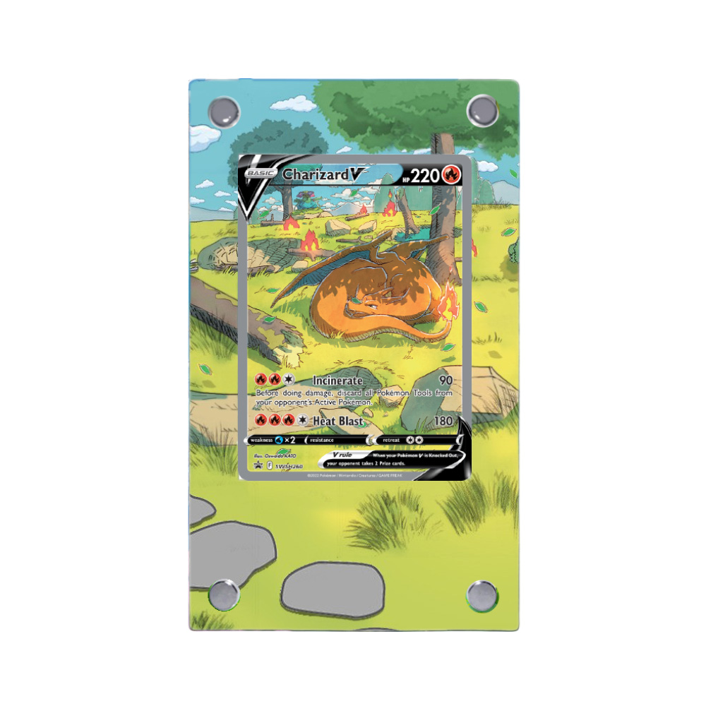 Umbreon Charizard Raikou Pokem - Model Kit Umbreon 评论和价格
